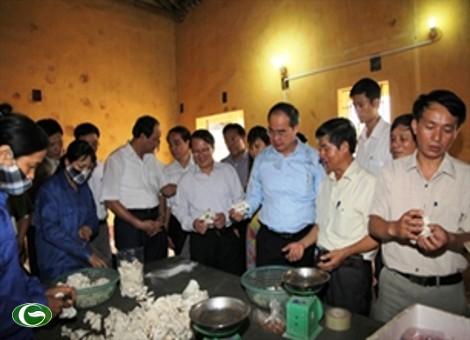 Phó Thủ tướng Nguyễn Thiện Nhân thăm mô hình trồng nấm rơm tại Đồng Văn